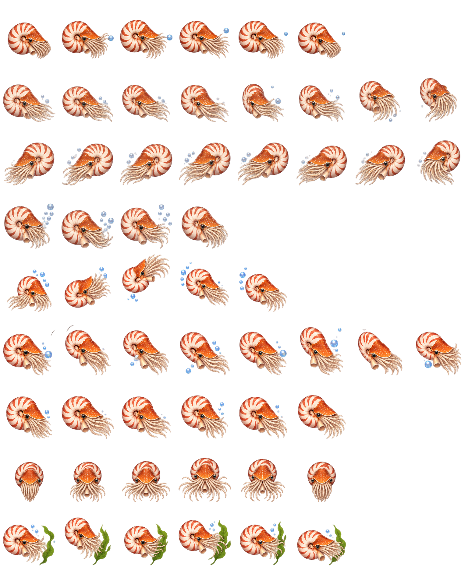 鹦鹉螺旋旋 Nautilus Spiral Codex pet original spritesheet