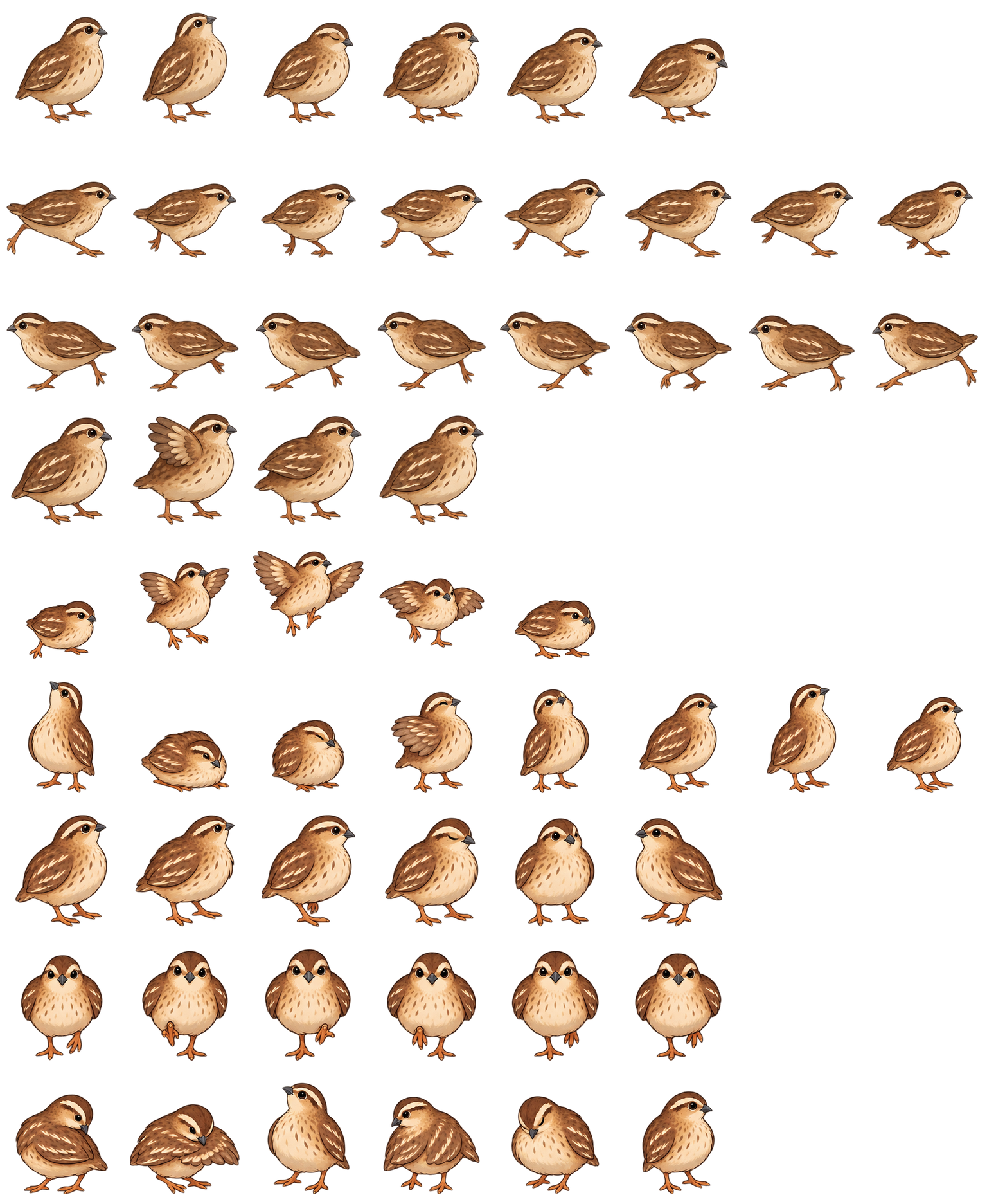 鹌鹑点点 Quail Pebbles Codex pet original spritesheet